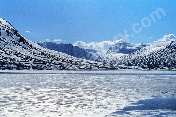 Norwegen, Vestland, Vestland,Nordfjord, Blick zum Strynefjellet mit dem Gletscher Tysigbreen