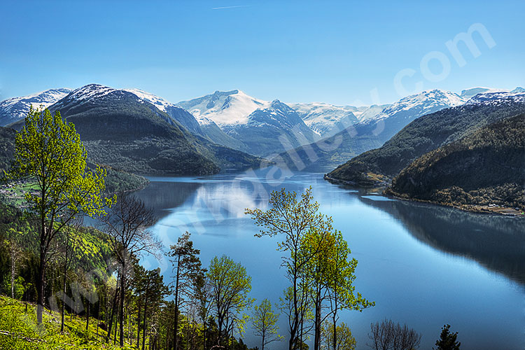 Norwegen, Vestland, Vestland,Nordfjord, Aussichtspunkt am Innvikfjord mit Blick in Richtung Gletscher Jostedalsbreen