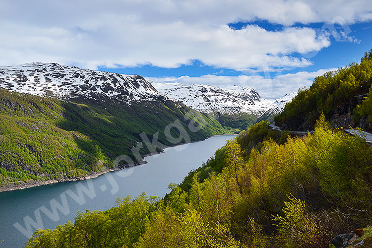 Norwegen, Vestland, Vestland,Roldalsfjellet, Tiefblick zum Roldalsvatnet in Richtung Süden