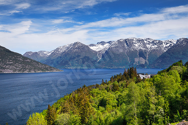 Norwegen, Vestland, Vestland,Hardanger, Blick von Utne zu den Bergmassiven am Eidfjord