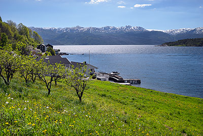 Norwegen, Vestland, Vestland,Hardanger, An der Mündung des Fyksesunds mit Blick über den Hardangerfjord auf die Bergkette am südlichen Fjordufer