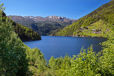 Norwegen, Vestland, Vestland,Nordhordland, Am Bolstadfjord entlang der E16 zwischen Bergen und Voss