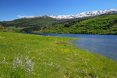 Norwegen, Vestland, Vestland,Voss, Auf der E16 am Nordufer des Vangsvatnet