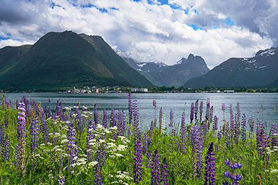 Norwegen, More og Romsdal, More og Romsdal,Romsdal, Blick über den Romsdalsfjord nach Andalsnes und zu den Romsdalsalpen mit dem  Romsdalshorn